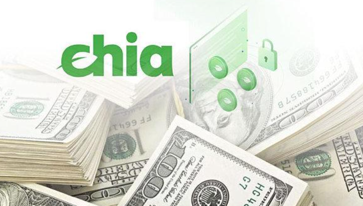 Chia節(jié)點沒有連接該如何解決？.png