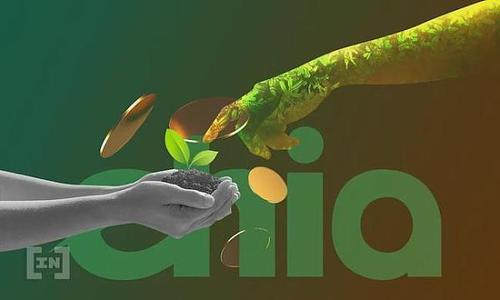 租用恒訊科技的chia服務(wù)器有何優(yōu)勢？.jpg