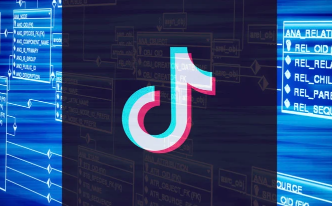 性價(jià)比高的印度尼西亞tiktok節(jié)點(diǎn)有何推薦？.png