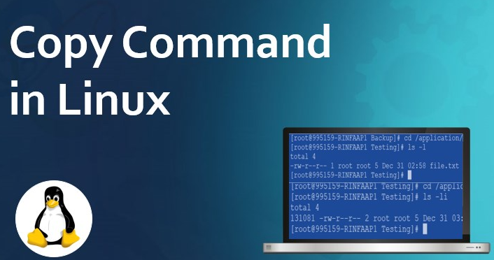 linux復(fù)制文件cp命令怎么使用？.png