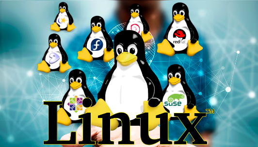 linux分區(qū)滿了怎么辦？.png