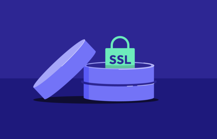 如何確保MySQL SSL證書的安全存儲(chǔ)？.png